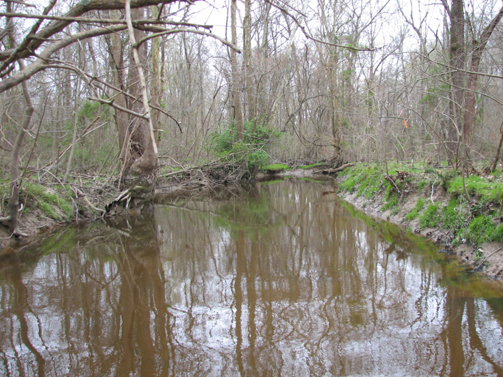 Field photo showing stream conditions at site SEAS-250-H-2007-1