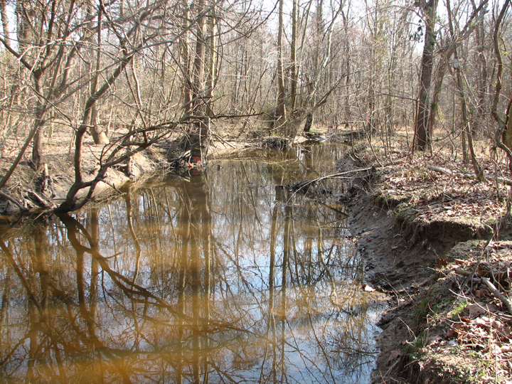 Field photo showing stream conditions at site SEAS-250-H-2008-1