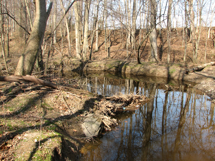 Field photo showing stream conditions at site SEAS-250-H-2008-2