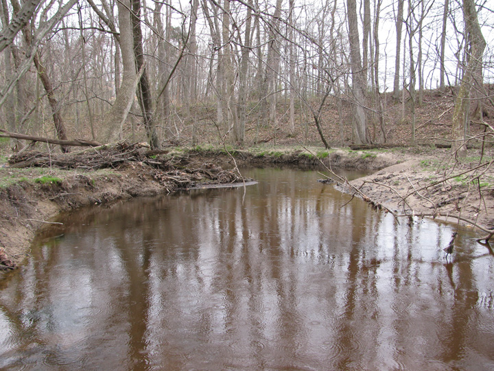 Field photo showing stream conditions at site SEAS-250-H-2010-1