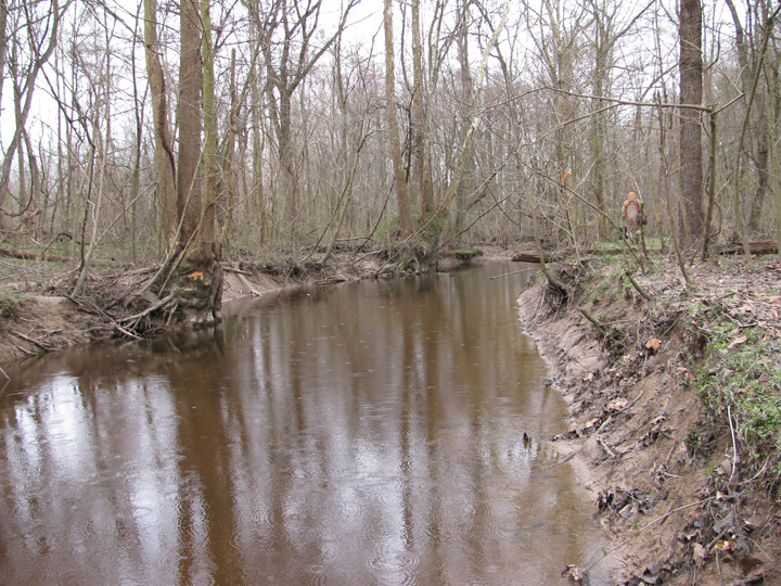 Field photo showing stream conditions at site SEAS-250-H-2010-2