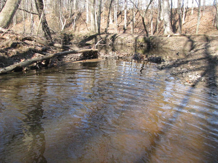 Field photo showing stream conditions at site SEAS-250-H-2011-1