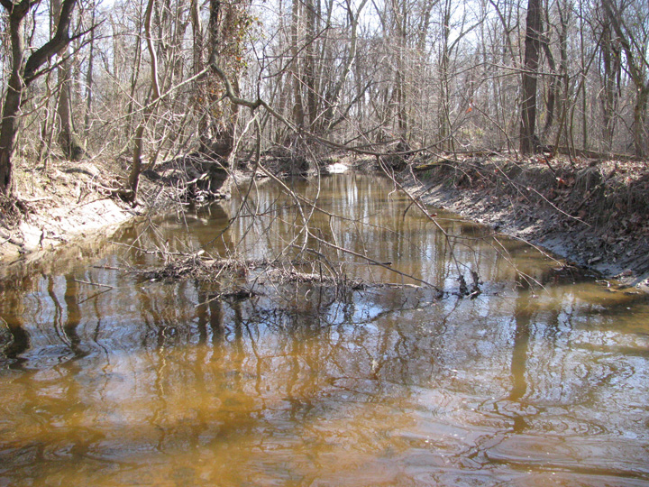 Field photo showing stream conditions at site SEAS-250-H-2011-2