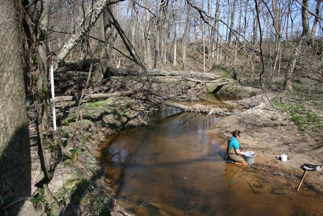Field photo showing stream conditions at site SEAS-250-H-2012-MidpointPdownstream