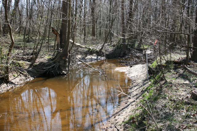 Field photo showing stream conditions at site SEAS-250-H-2012-MidpointPupstream