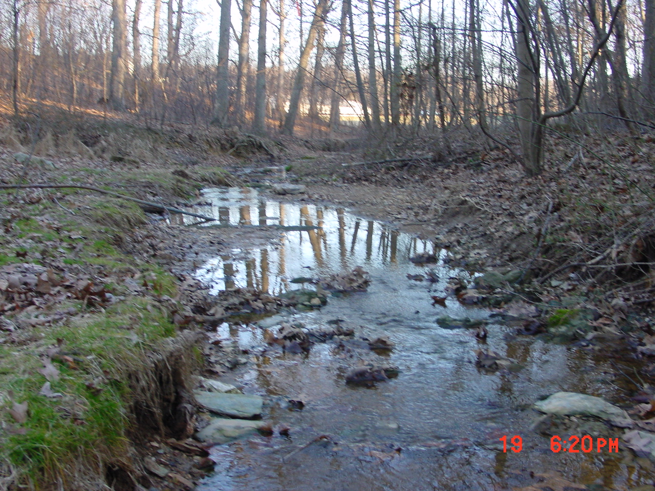 Field photo showing stream conditions at site SENE-101-R-2001-1