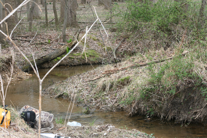 Field photo showing stream conditions at site SENE-101-R-2009-1