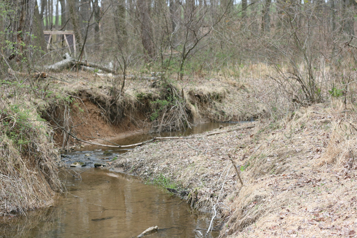 Field photo showing stream conditions at site SENE-101-R-2009-2
