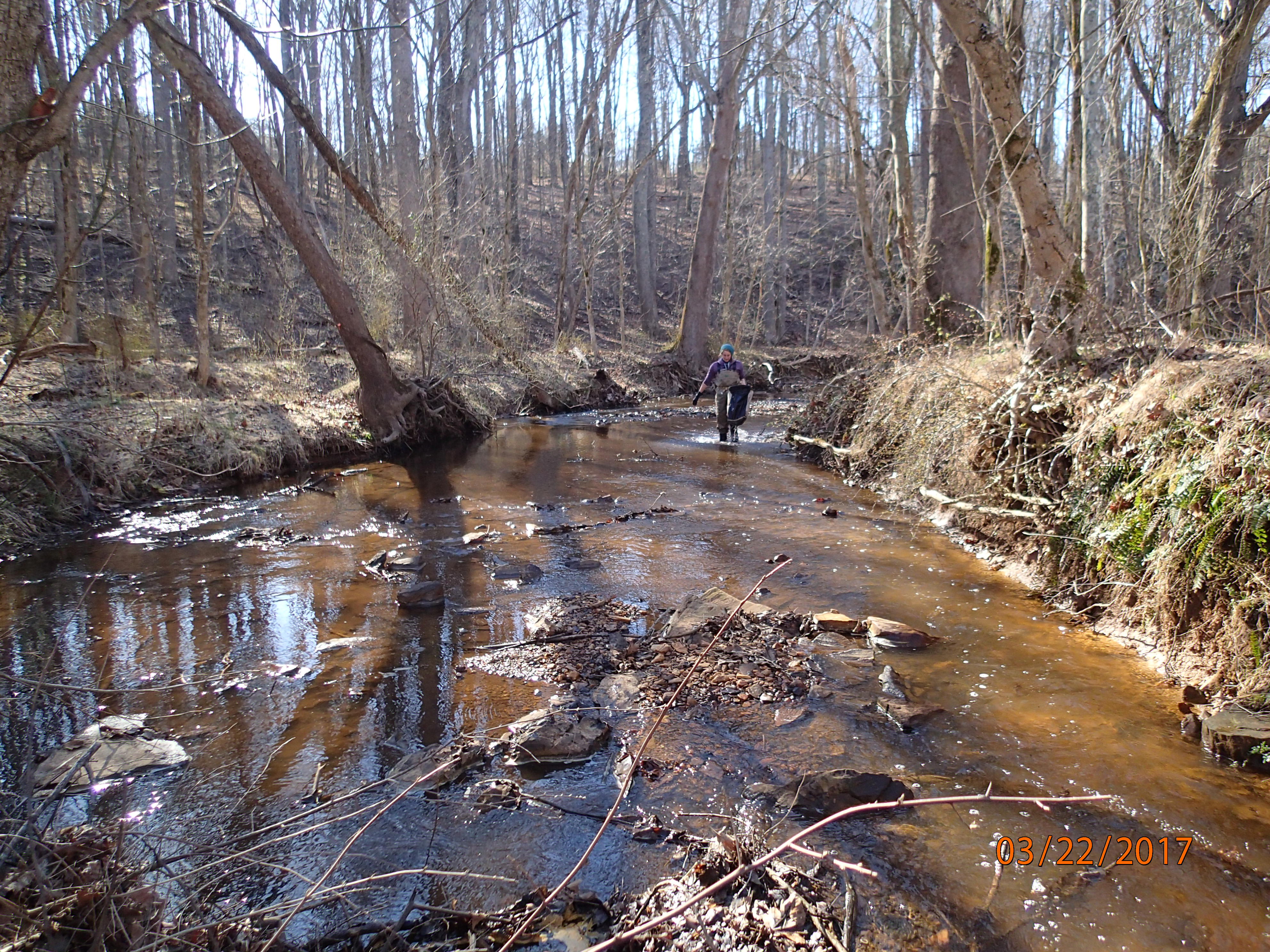 Field photo showing stream conditions at site SENE-101-X-2017-MidpointDownstream