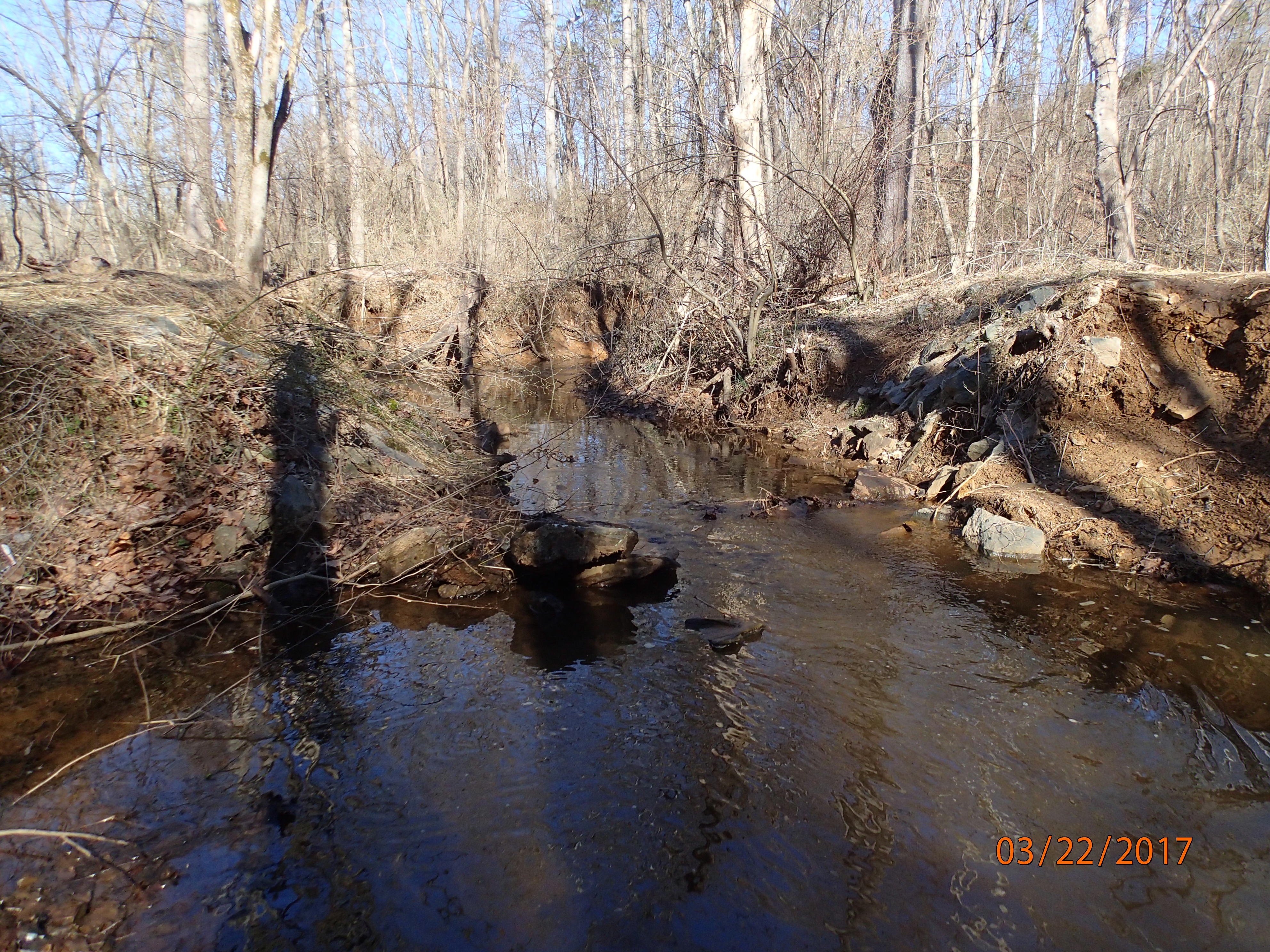 Field photo showing stream conditions at site SENE-101-X-2017-MidpointUpstream