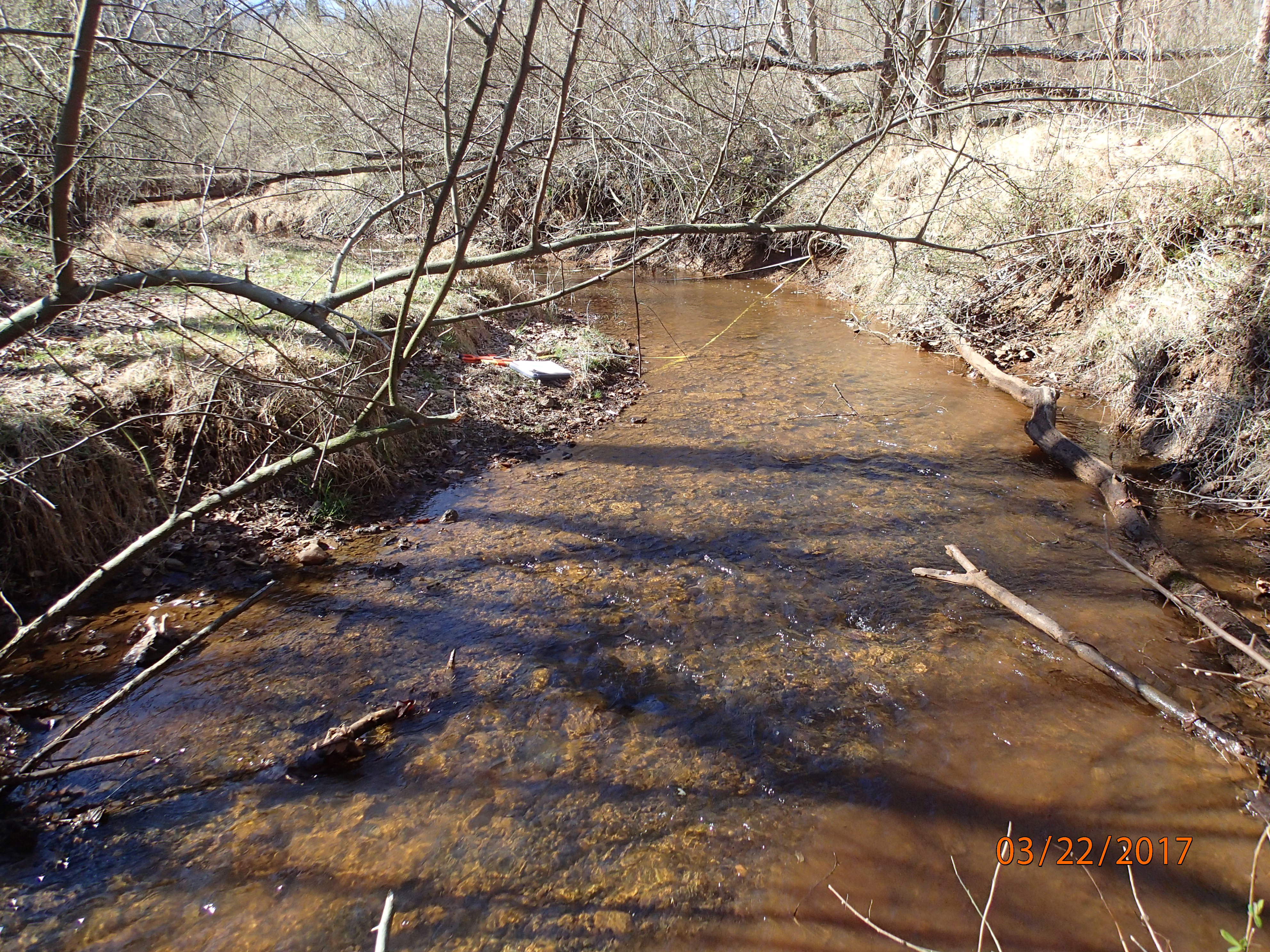 Field photo showing stream conditions at site SENE-102-X-2017-MidpointDownstream