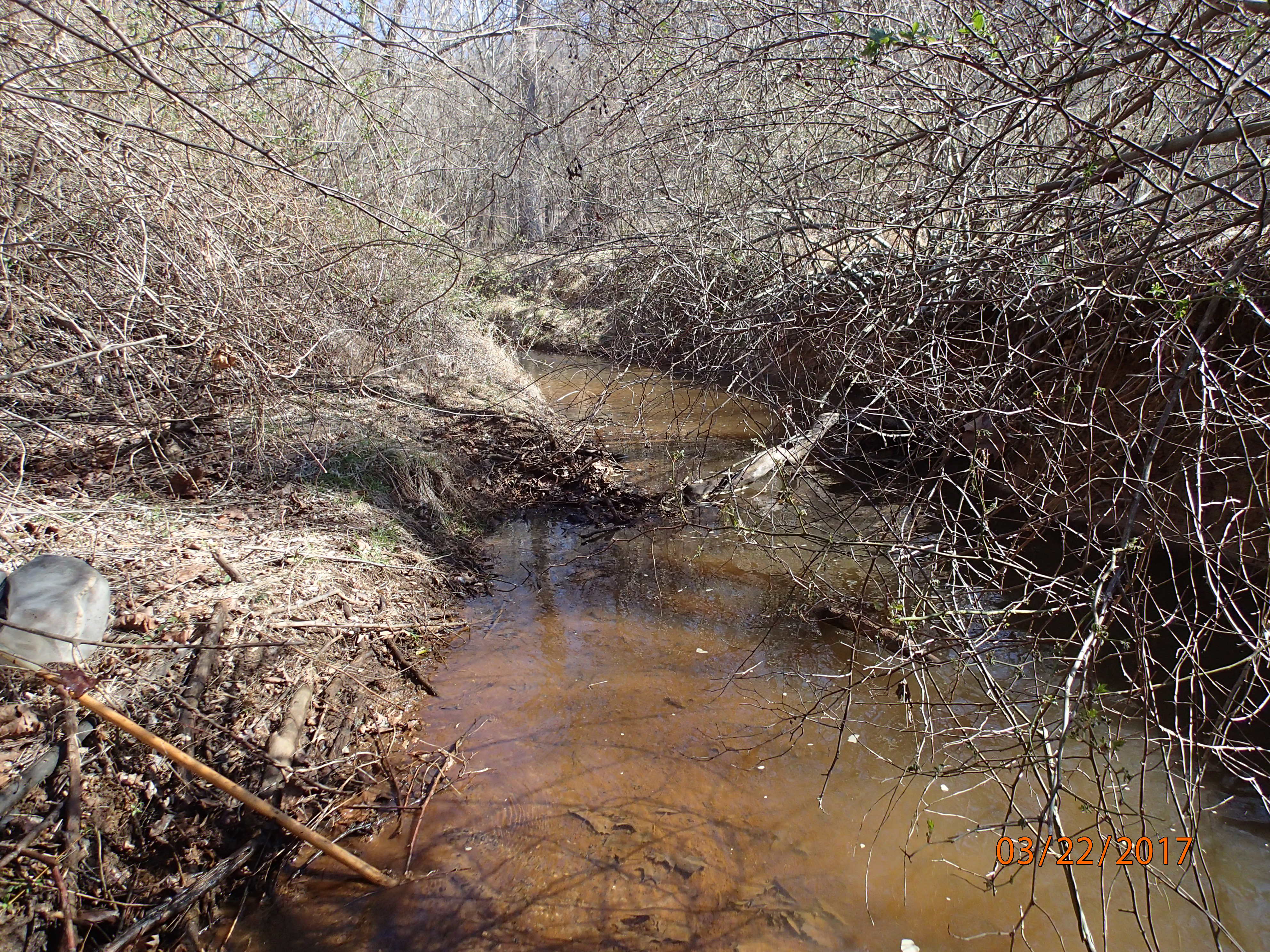 Field photo showing stream conditions at site SENE-102-X-2017-MidpointUpstream
