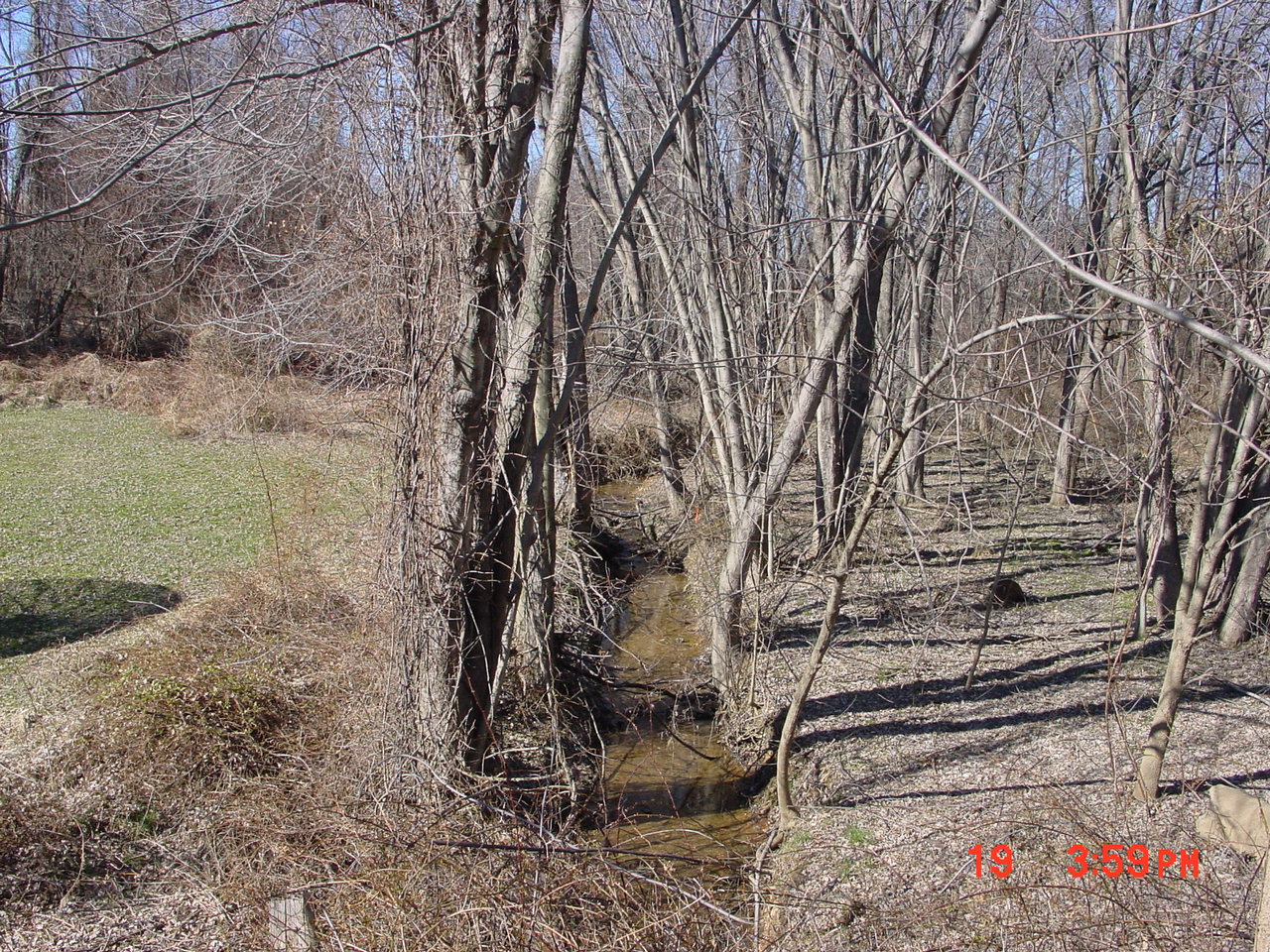 Field photo showing stream conditions at site SENE-103-R-2001-2