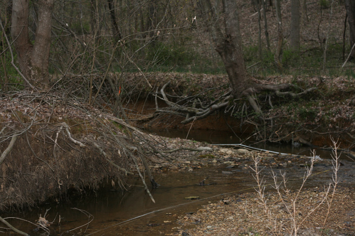 Field photo showing stream conditions at site SENE-103-R-2009-1