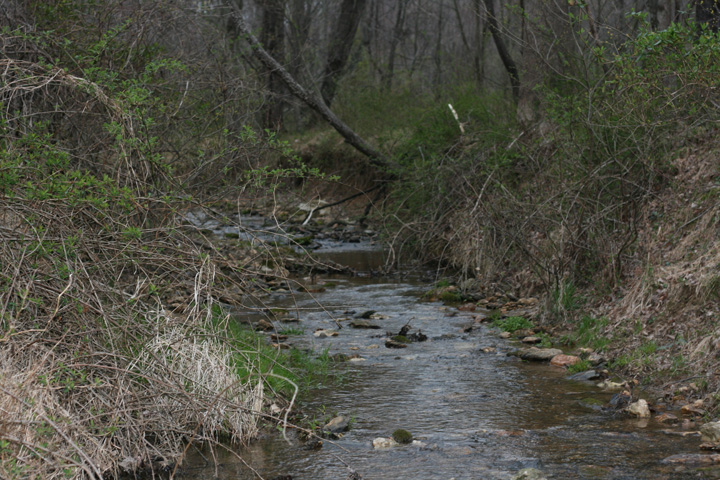 Field photo showing stream conditions at site SENE-103-R-2009-2