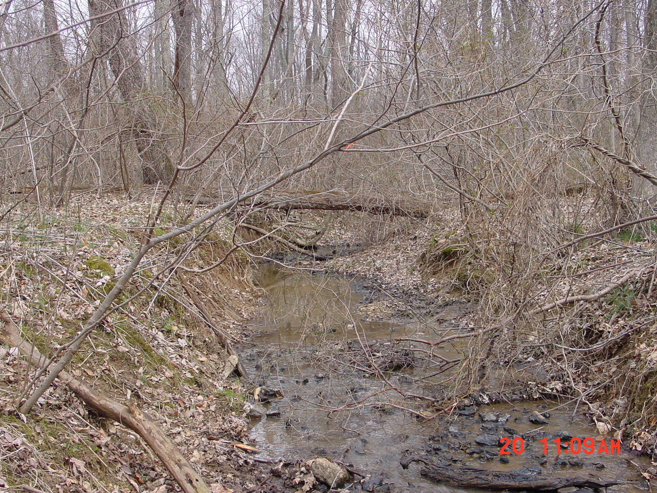 Field photo showing stream conditions at site SENE-104-R-2001-1