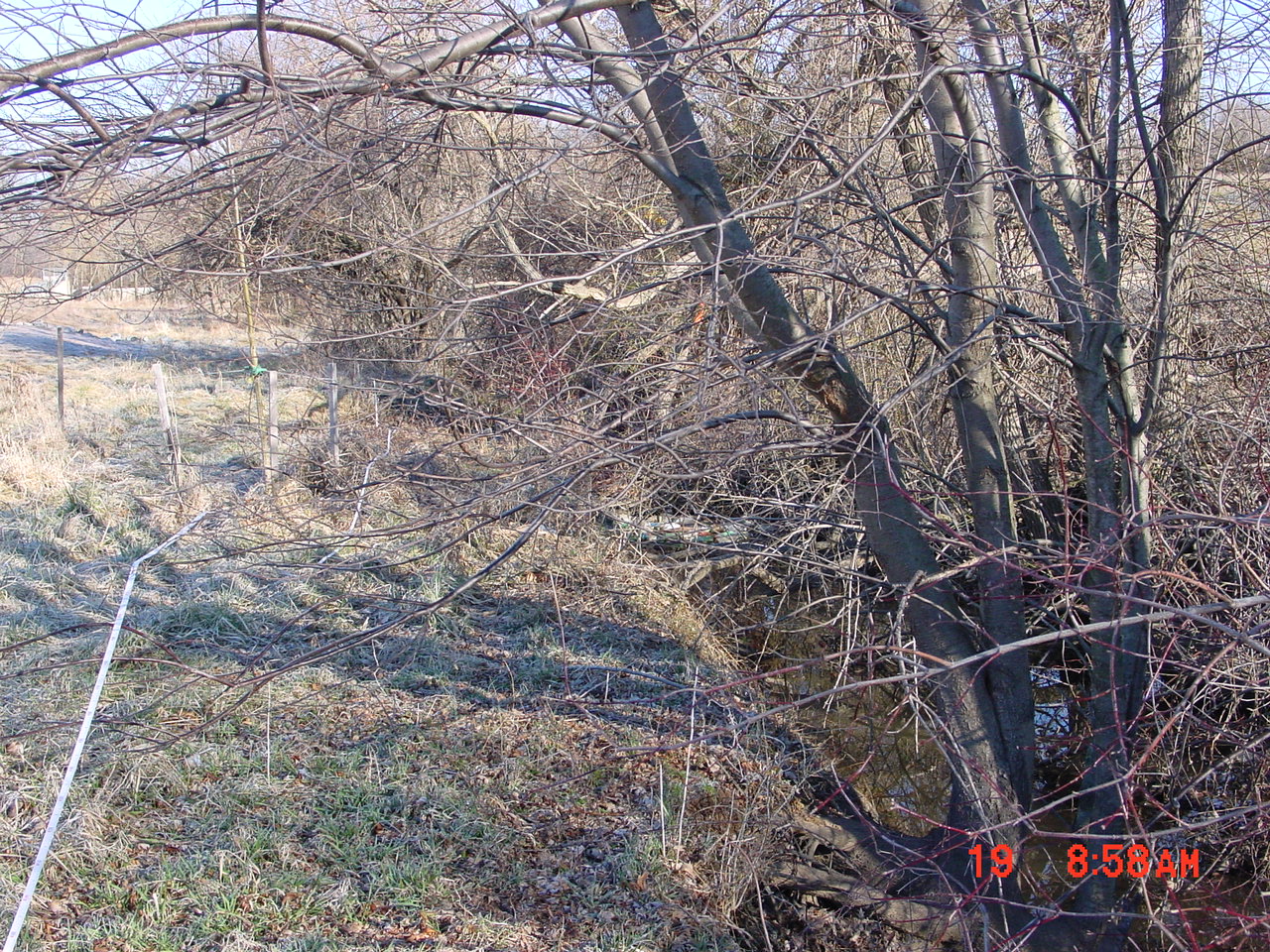 Field photo showing stream conditions at site SENE-113-R-2001-1