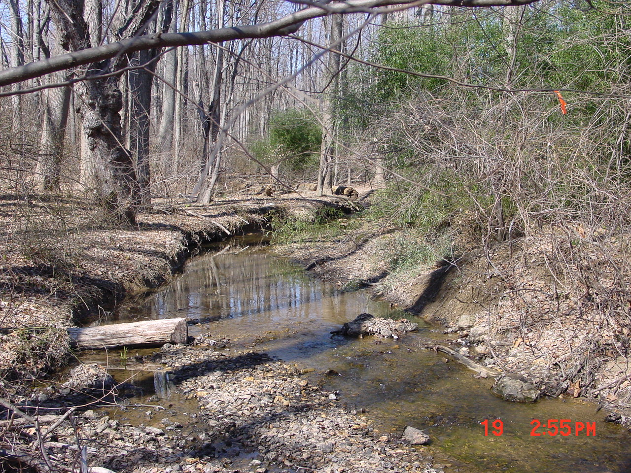 Field photo showing stream conditions at site SENE-114-R-2001-1
