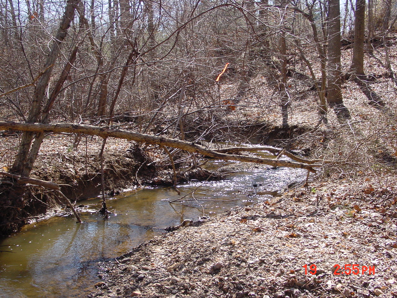 Field photo showing stream conditions at site SENE-114-R-2001-2