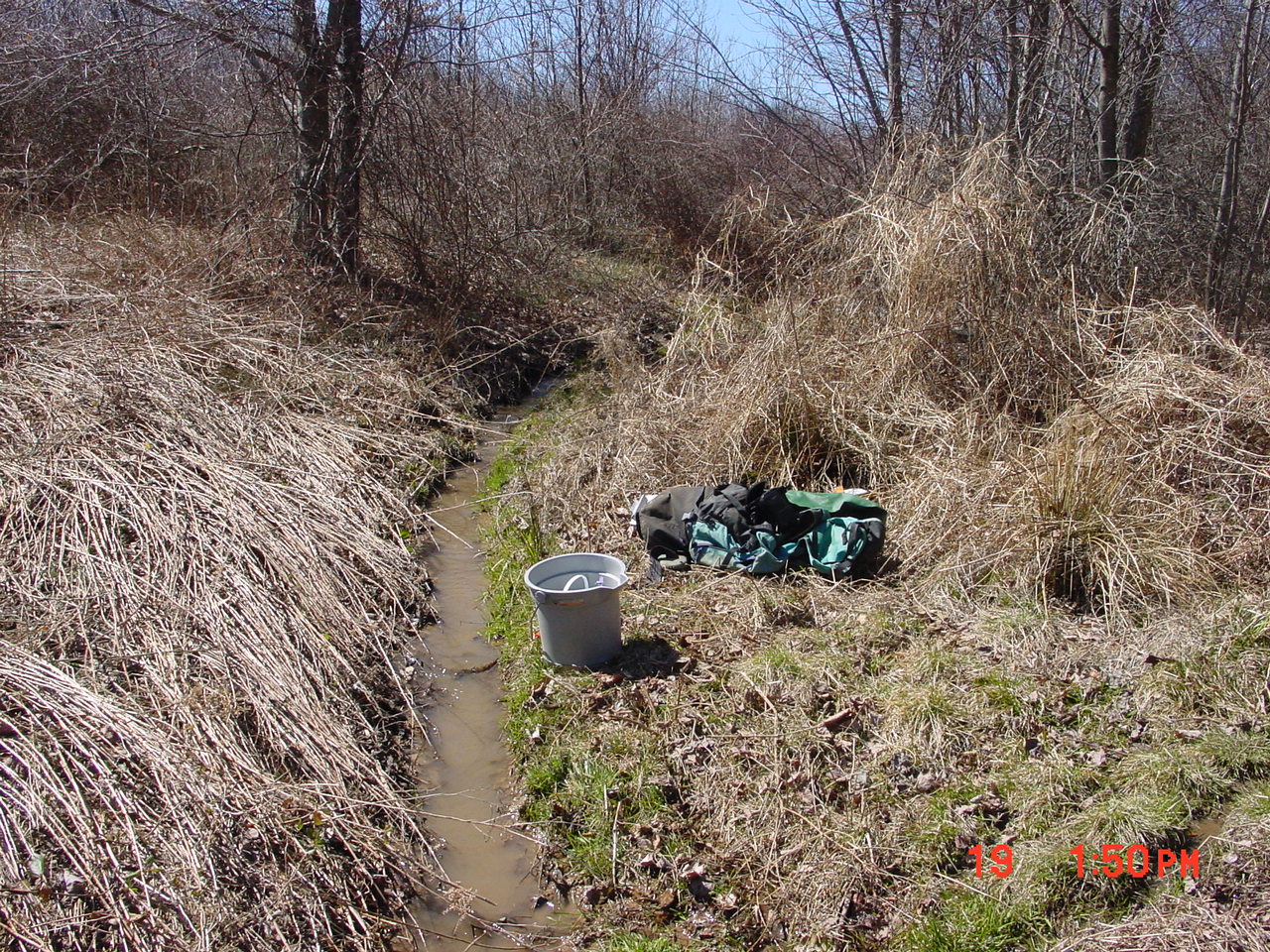 Field photo showing stream conditions at site SENE-115-R-2001-1