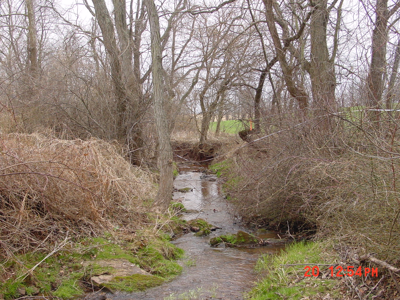 Field photo showing stream conditions at site SENE-117-R-2001-1