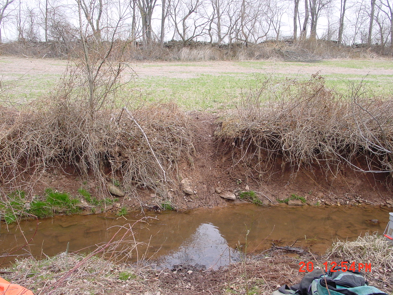 Field photo showing stream conditions at site SENE-117-R-2001-2
