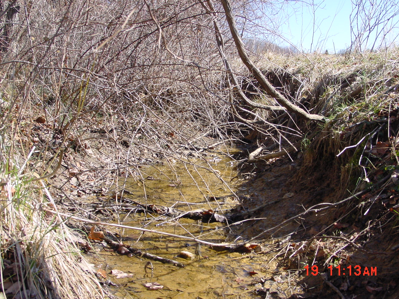 Field photo showing stream conditions at site SENE-119-R-2001-1