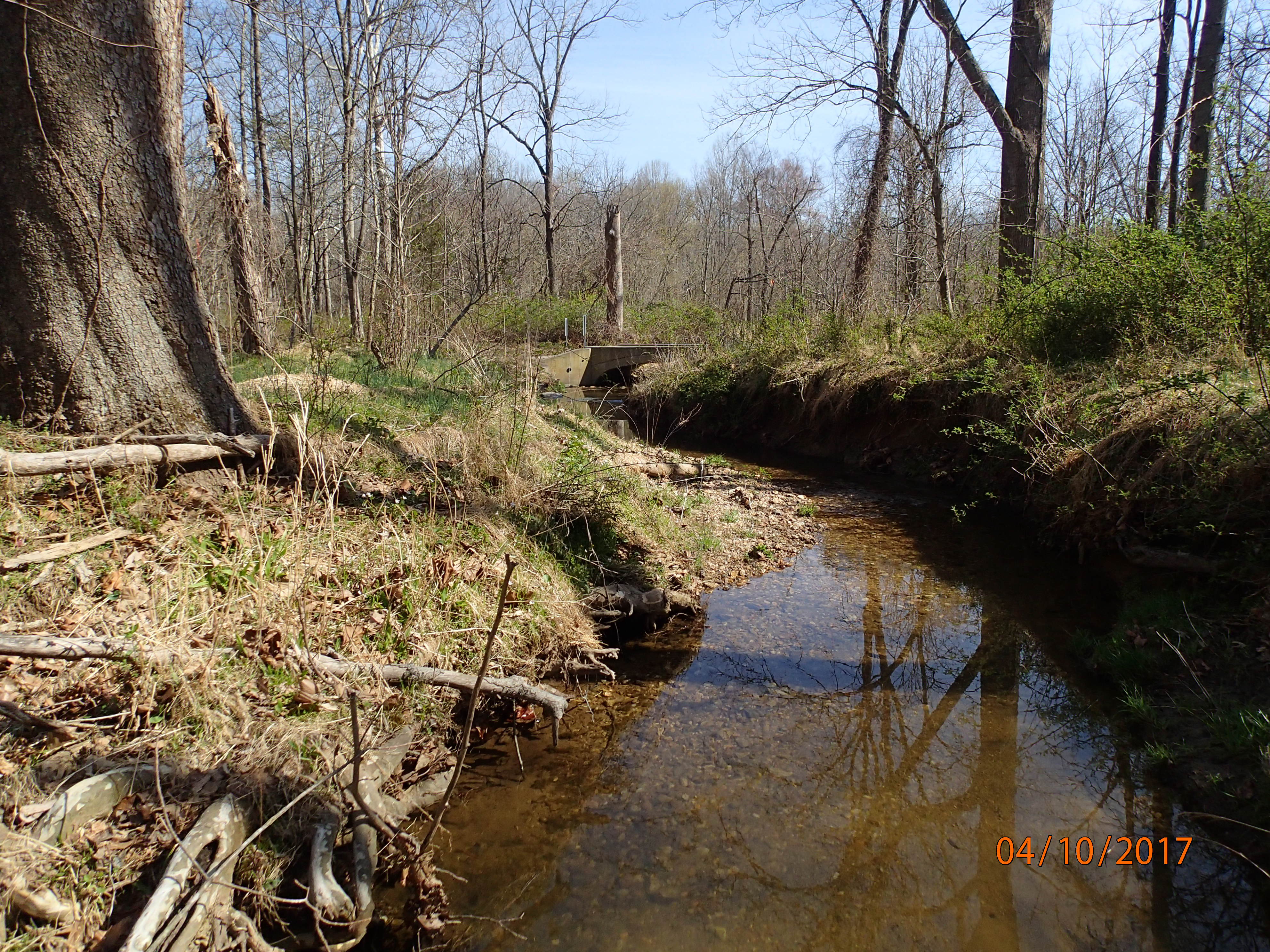 Field photo showing stream conditions at site SENE-119-R-2017-MidpointDownstream