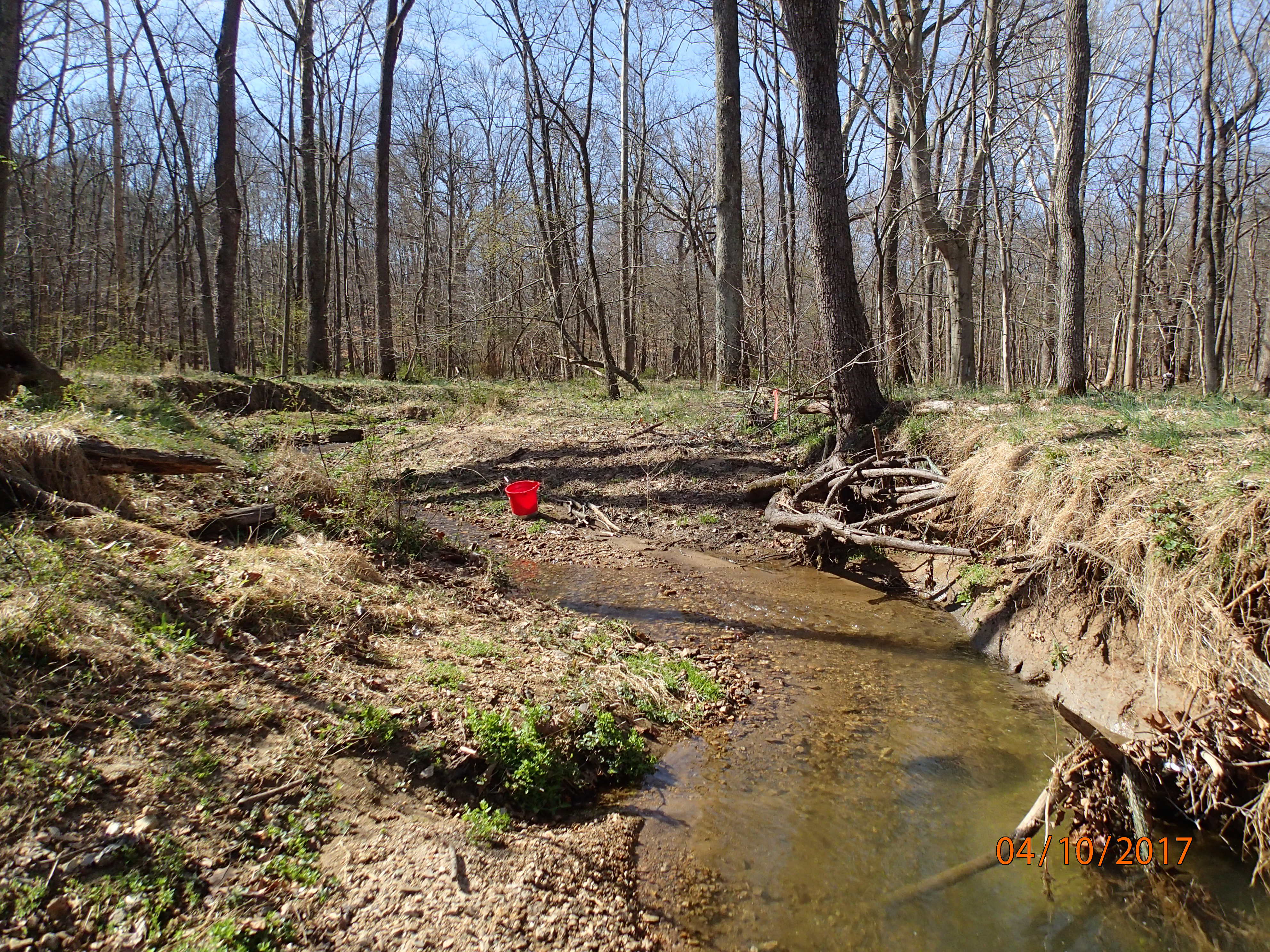 Field photo showing stream conditions at site SENE-119-R-2017-MidpointUpstream