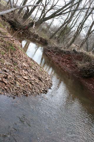 Field photo showing stream conditions at site SENE-198-B-2012_25mMarkDownstream