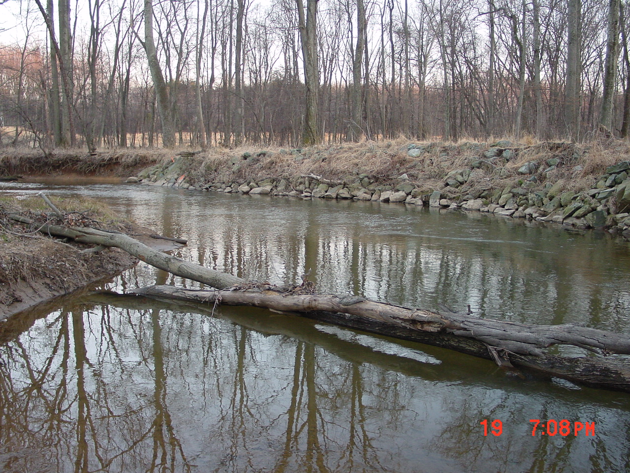Field photo showing stream conditions at site SENE-205-R-2001-1