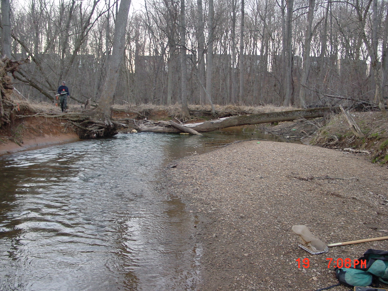 Field photo showing stream conditions at site SENE-205-R-2001-2