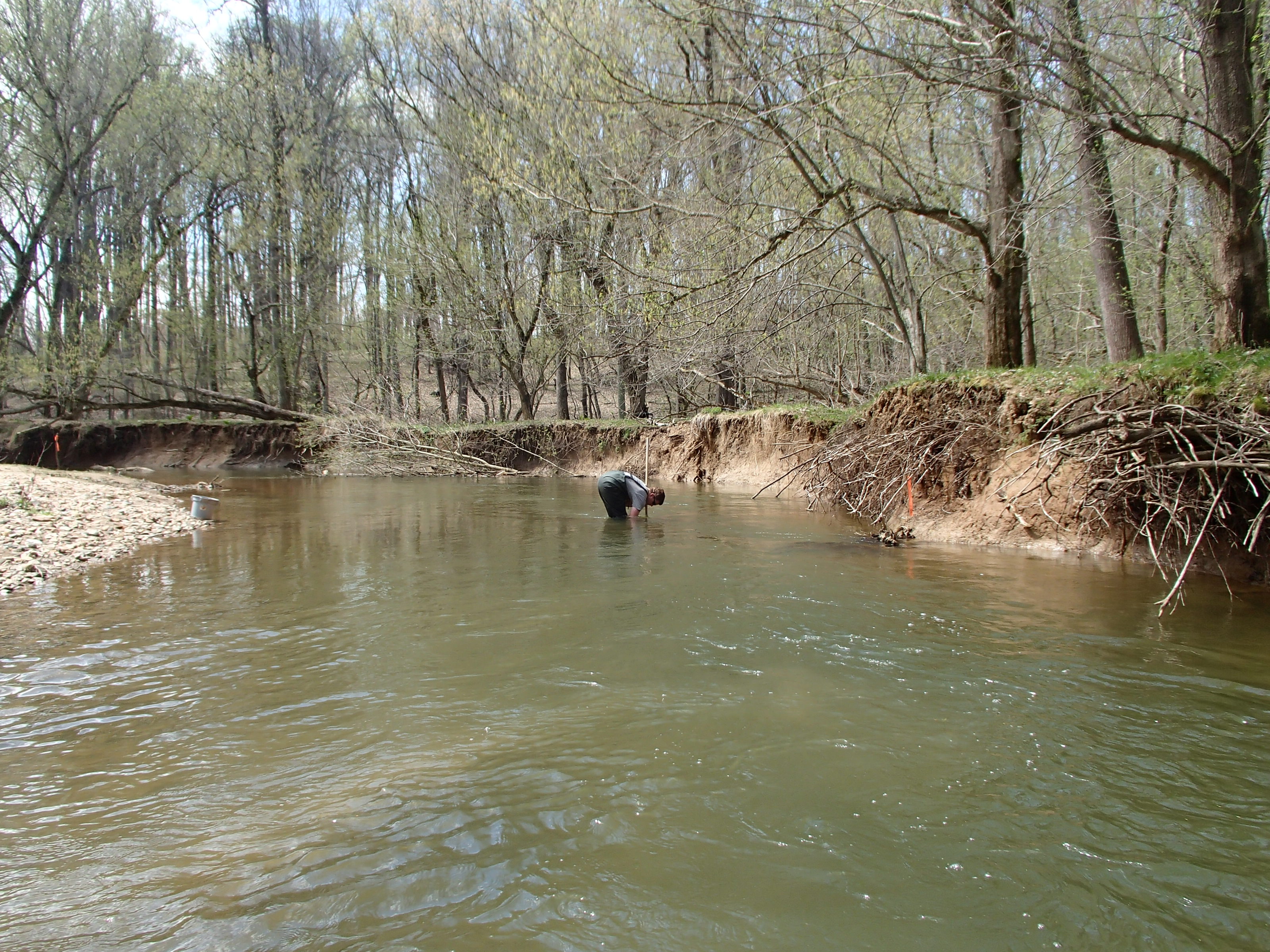 Field photo showing stream conditions at site SENE-205-R-2015_Midpoint-looking-downstream