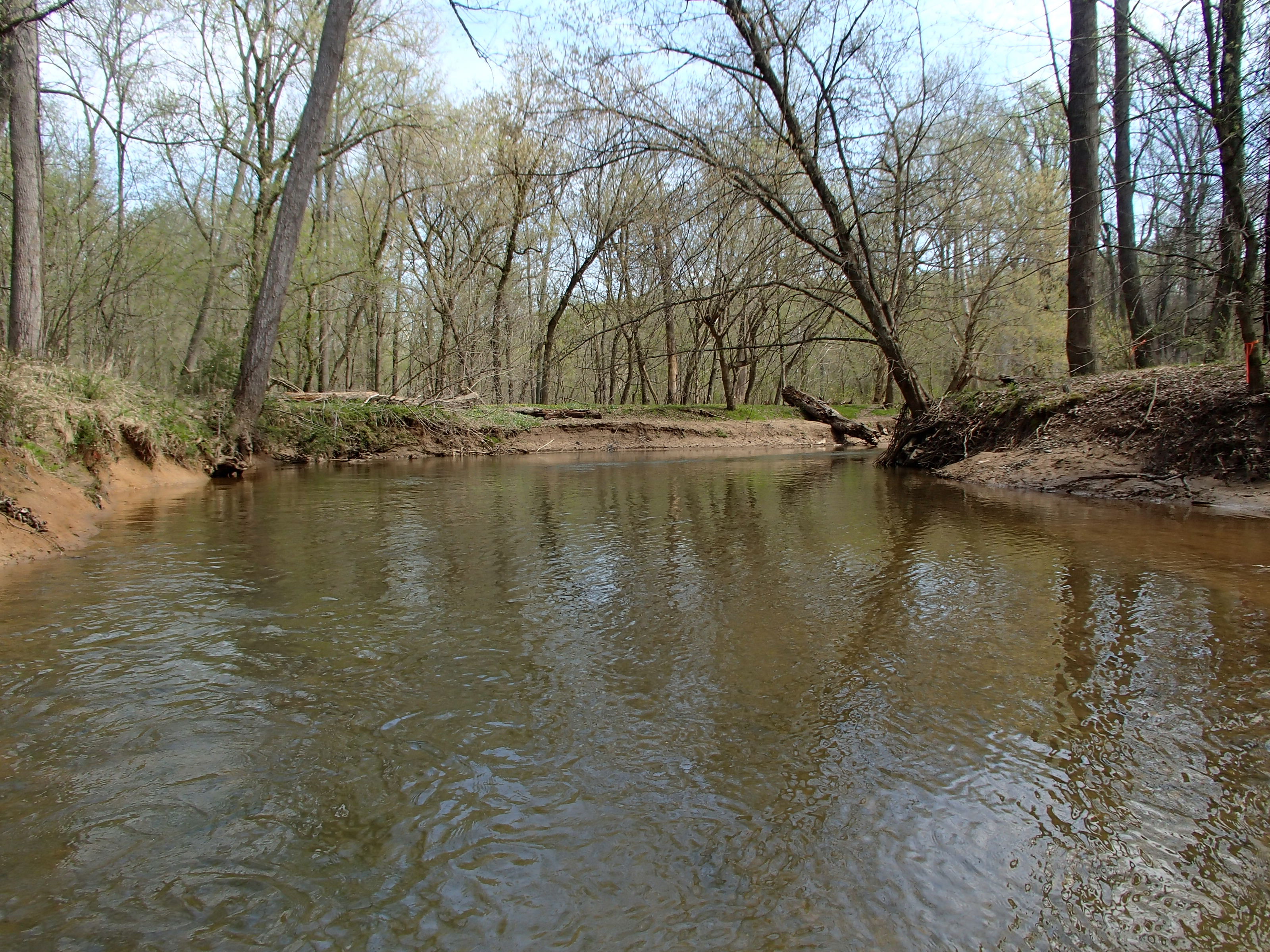 Field photo showing stream conditions at site SENE-205-R-2015_Midpoint-looking-upstream