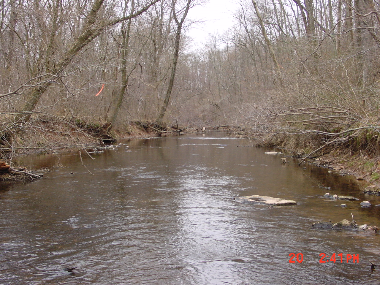 Field photo showing stream conditions at site SENE-210-R-2001-1