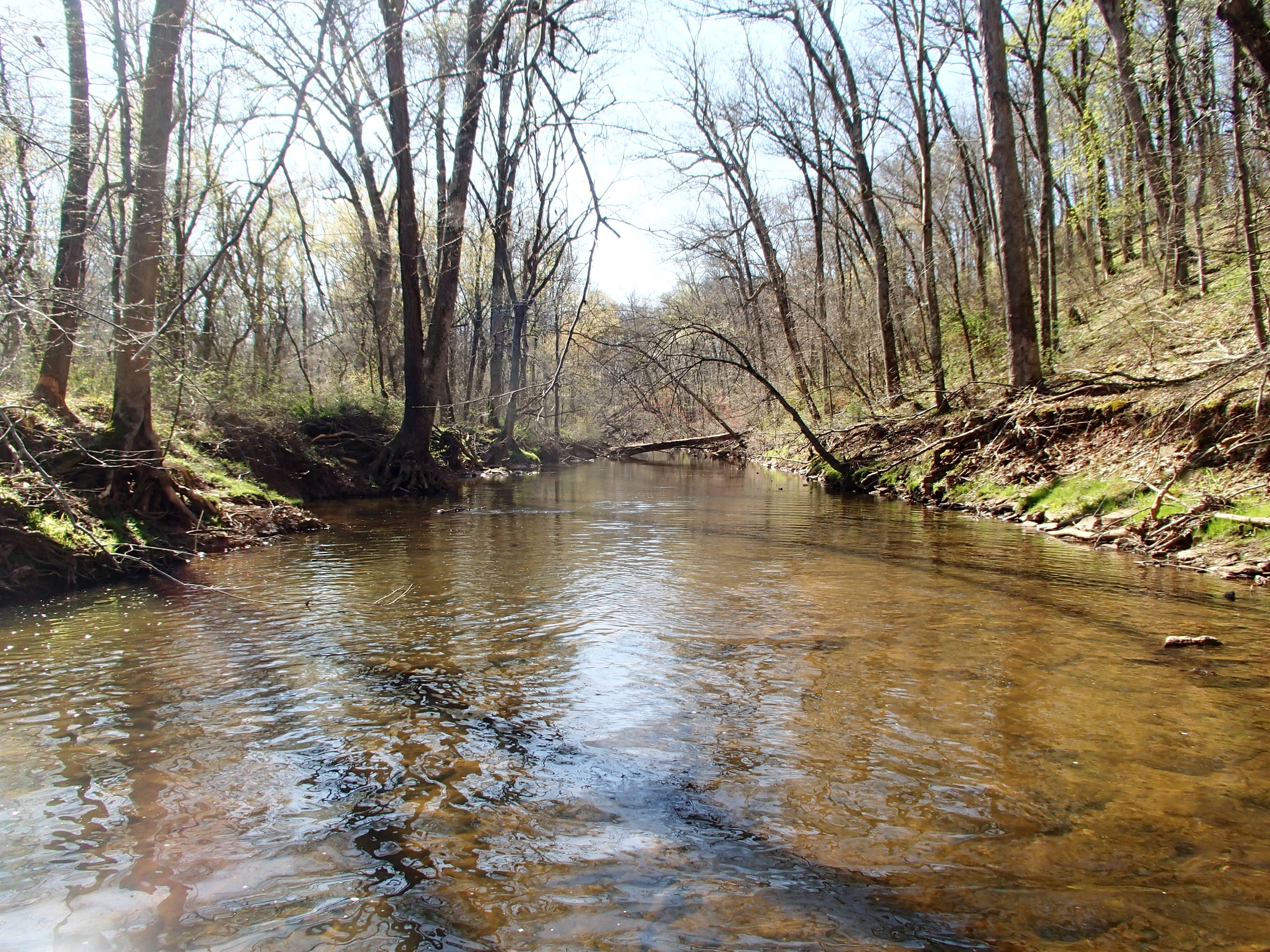 Field photo showing stream conditions at site SENE-210-R-2015_Midpoint-looking-down