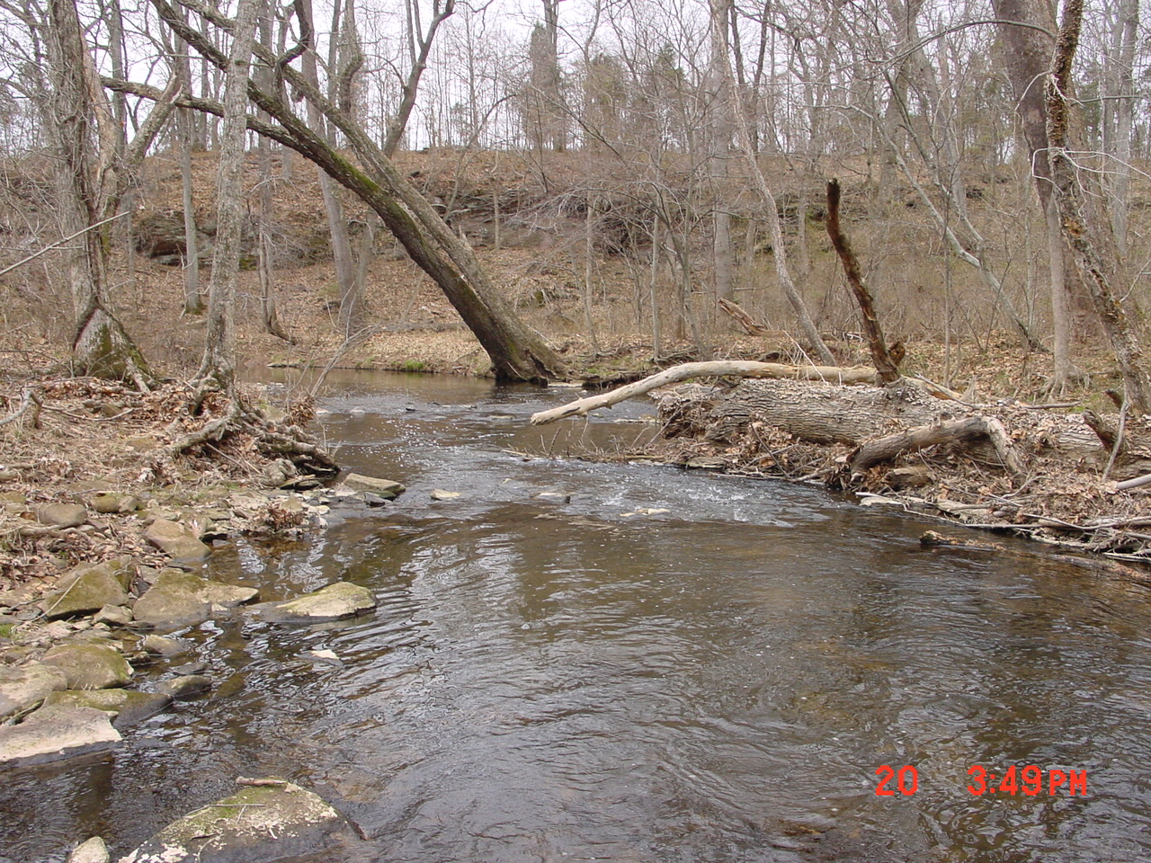 Field photo showing stream conditions at site SENE-211-R-2001-1