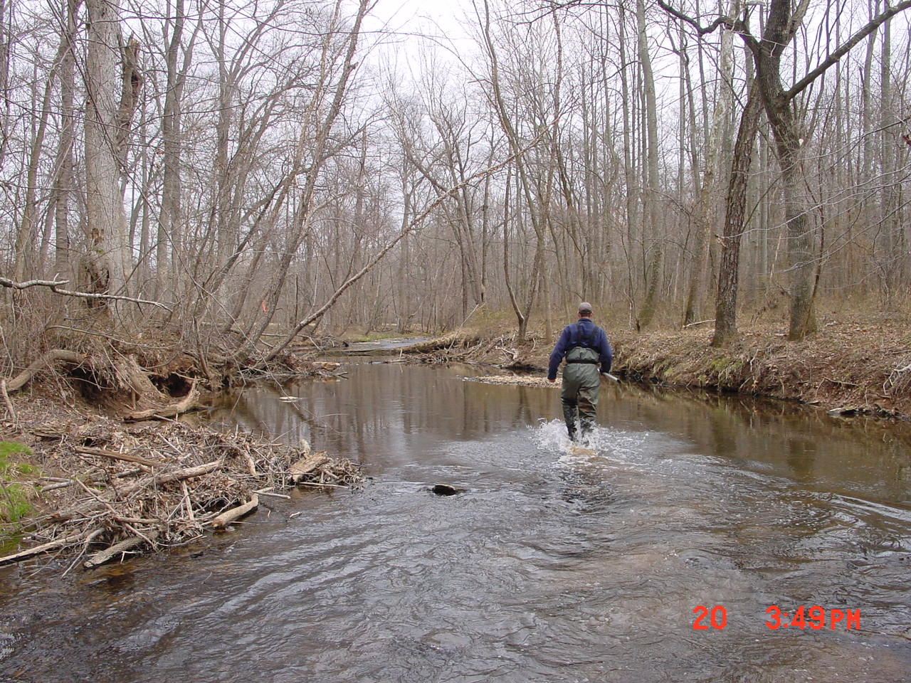 Field photo showing stream conditions at site SENE-211-R-2001-2