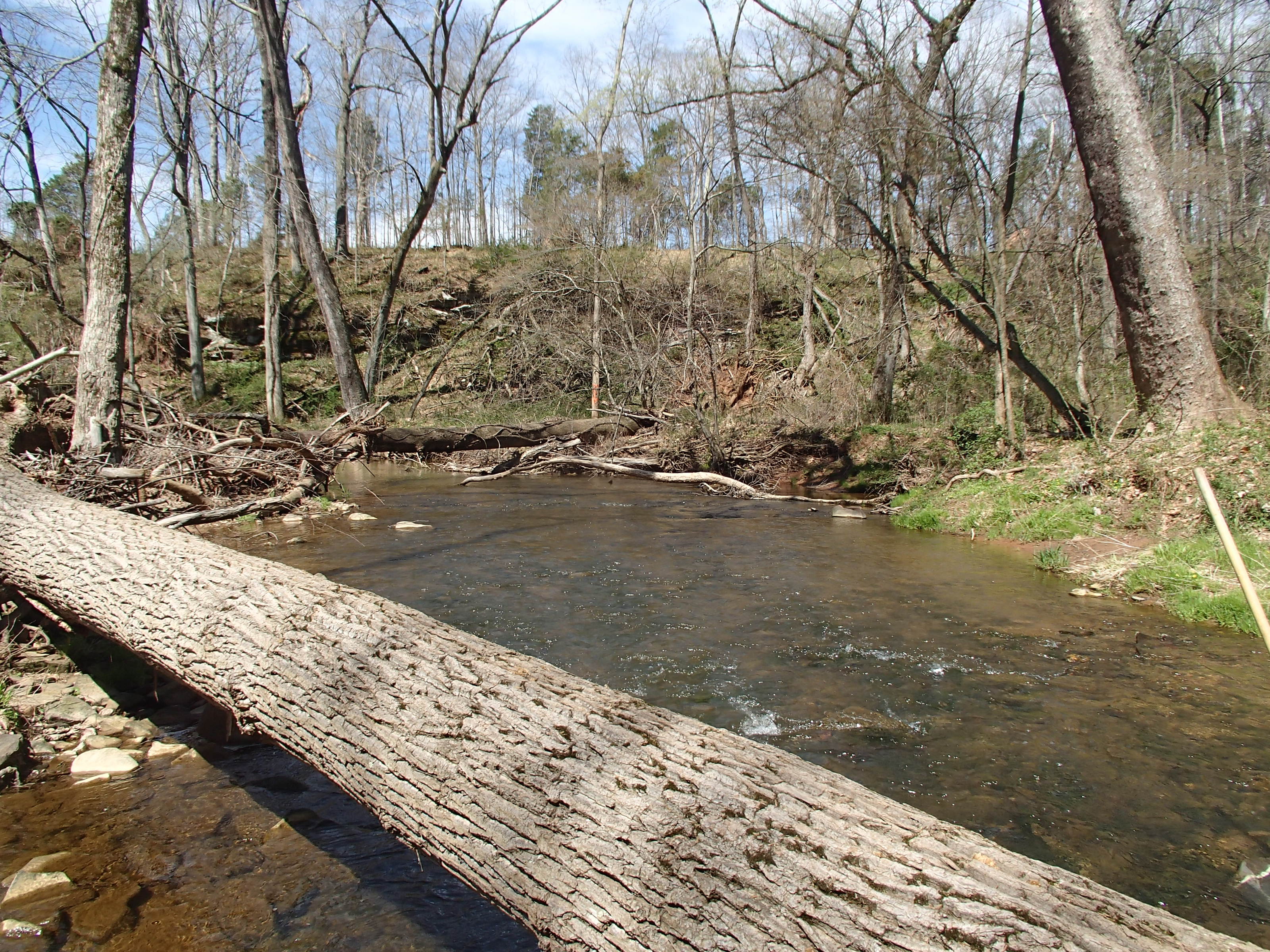 Field photo showing stream conditions at site SENE-211-R-2015_Midpoint-looking-downstream