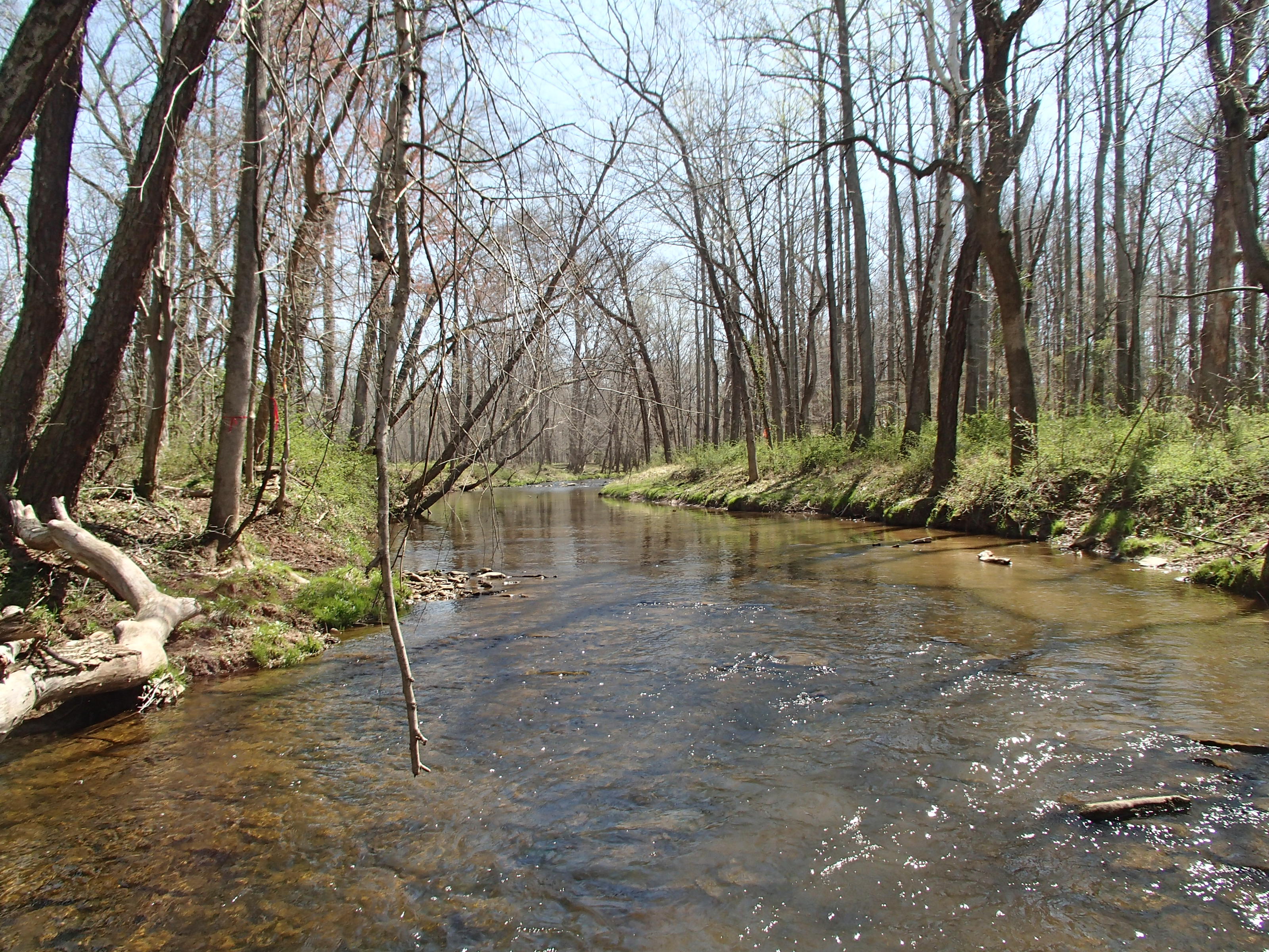 Field photo showing stream conditions at site SENE-211-R-2015_Midpoint-looking-upstream