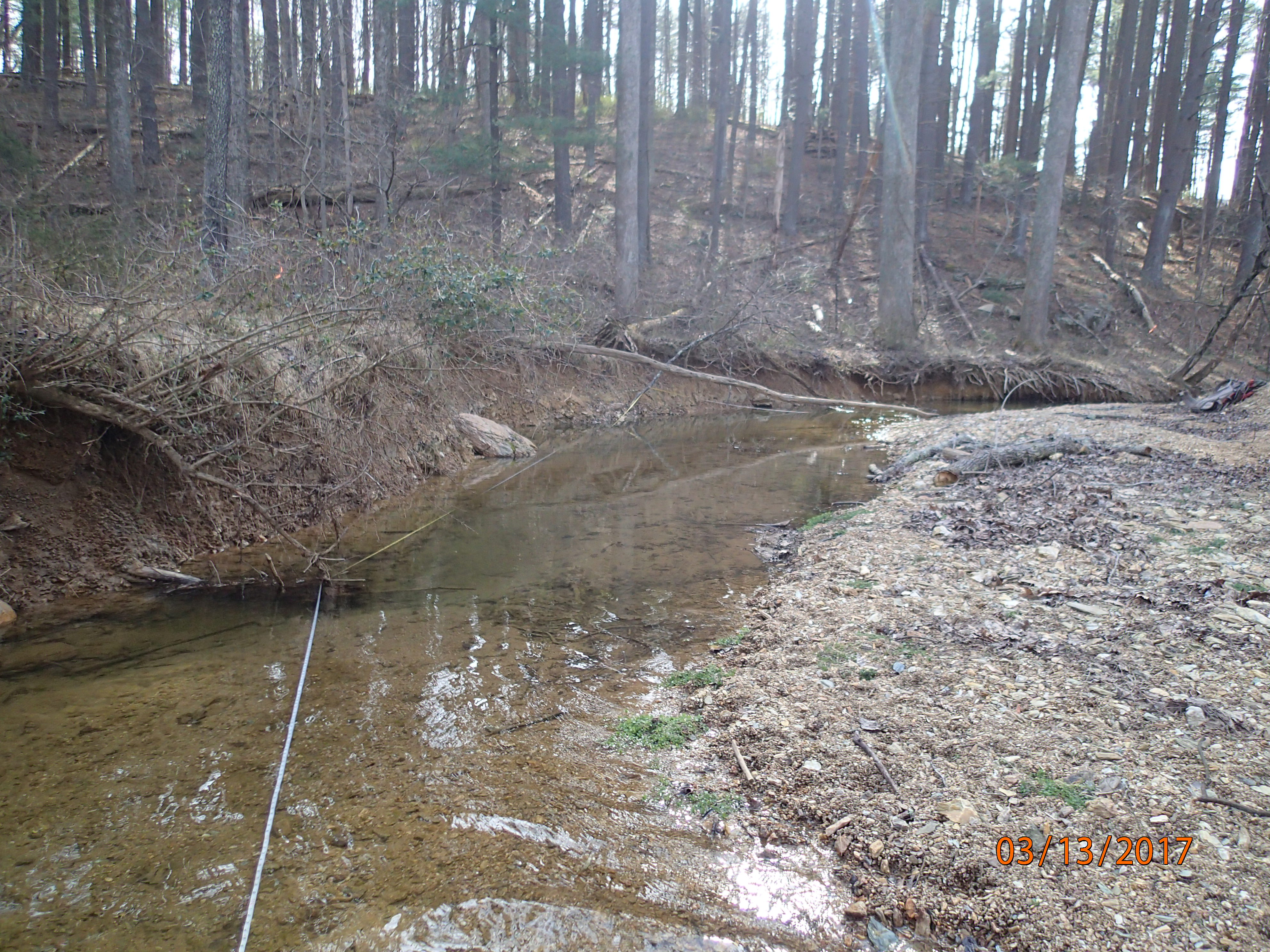 Field photo showing stream conditions at site SENE-211-R-2017-MidpointDownstream