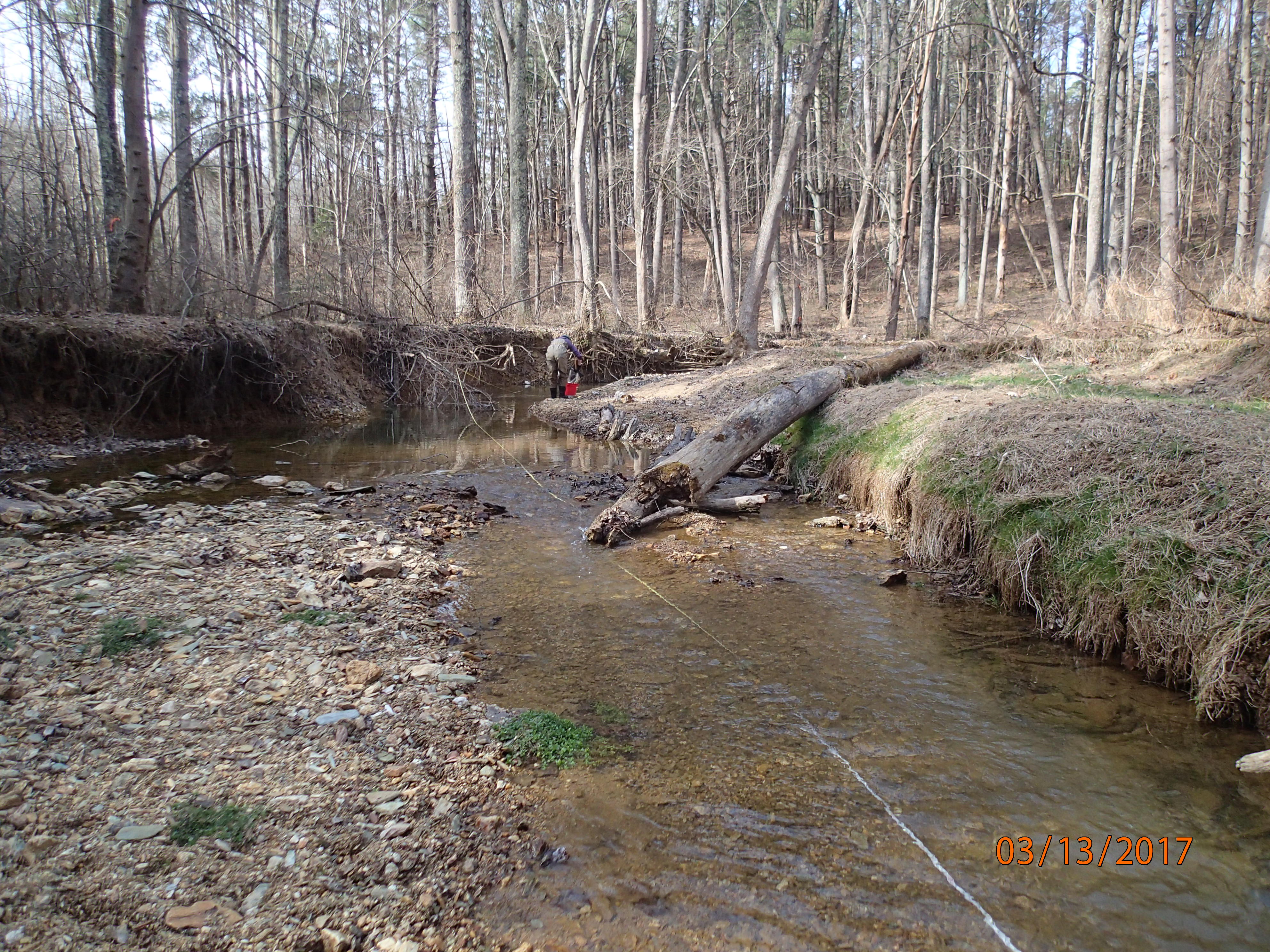 Field photo showing stream conditions at site SENE-211-R-2017-MidpointUpstream