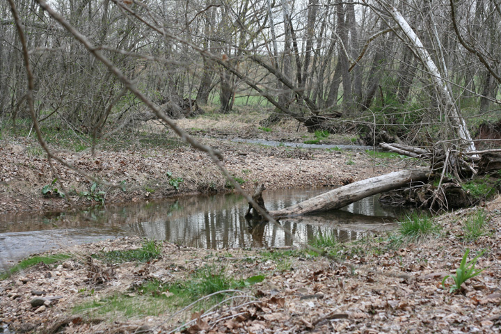 Field photo showing stream conditions at site SENE-302-R-2009-2