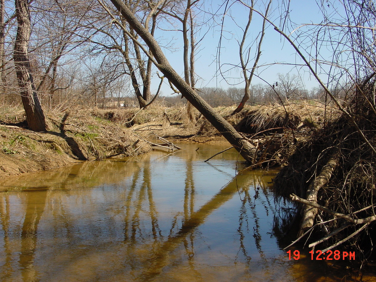 Field photo showing stream conditions at site SENE-306-R-2001-1