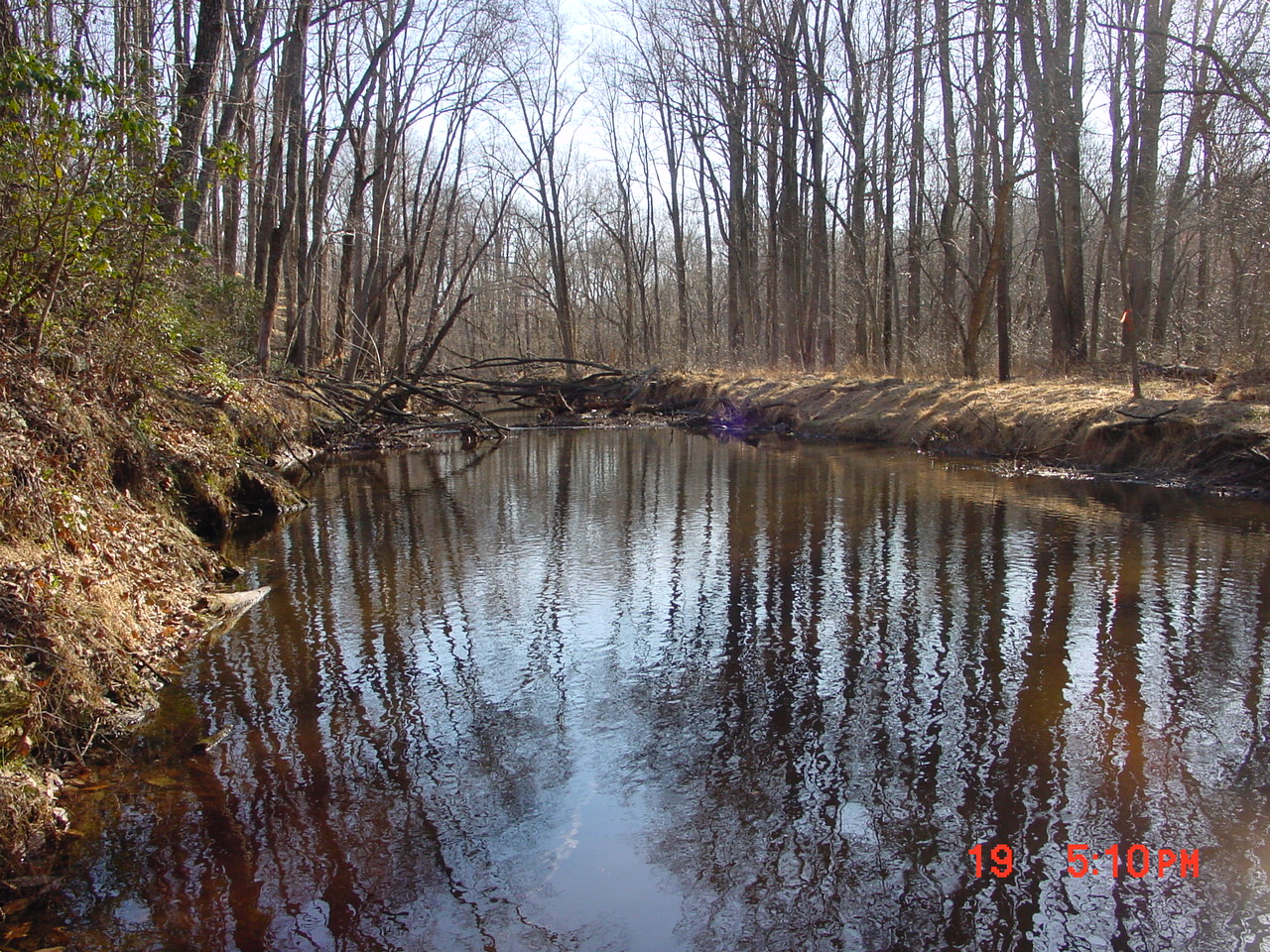 Field photo showing stream conditions at site SENE-316-R-2001-2