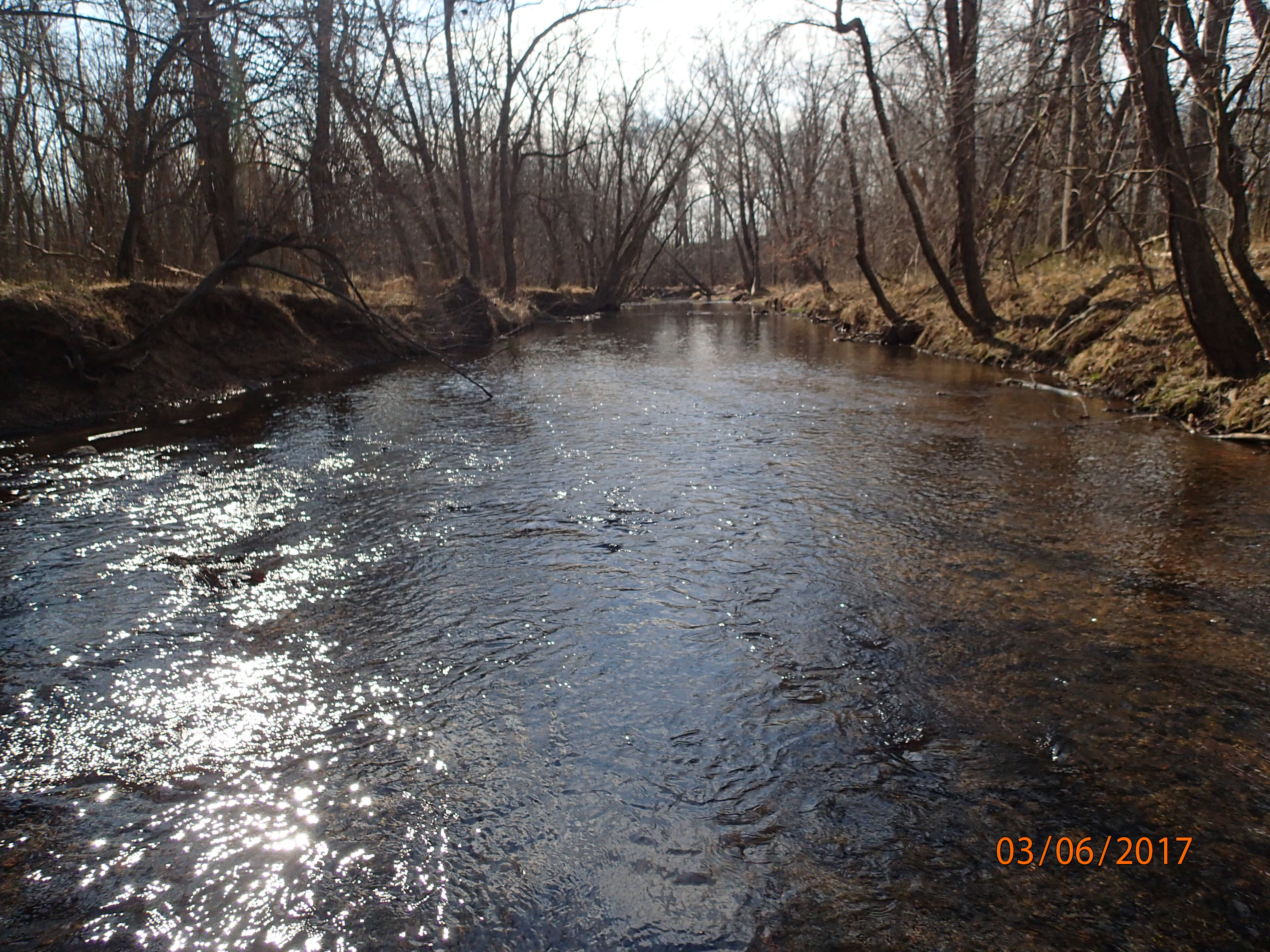 Field photo showing stream conditions at site SENE-317-R-2017-MidpointDownstream