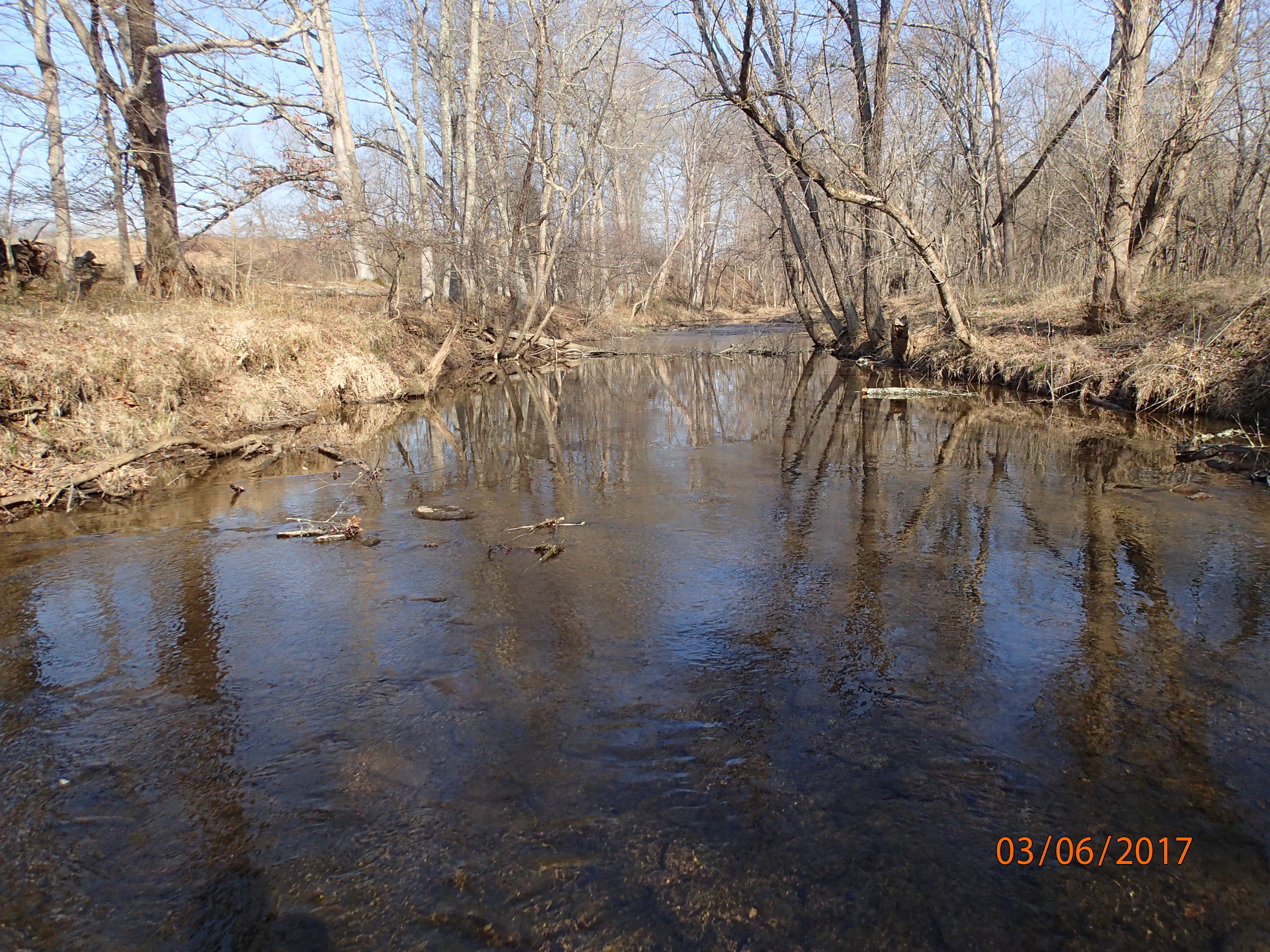 Field photo showing stream conditions at site SENE-317-R-2017-MidpointUpstream