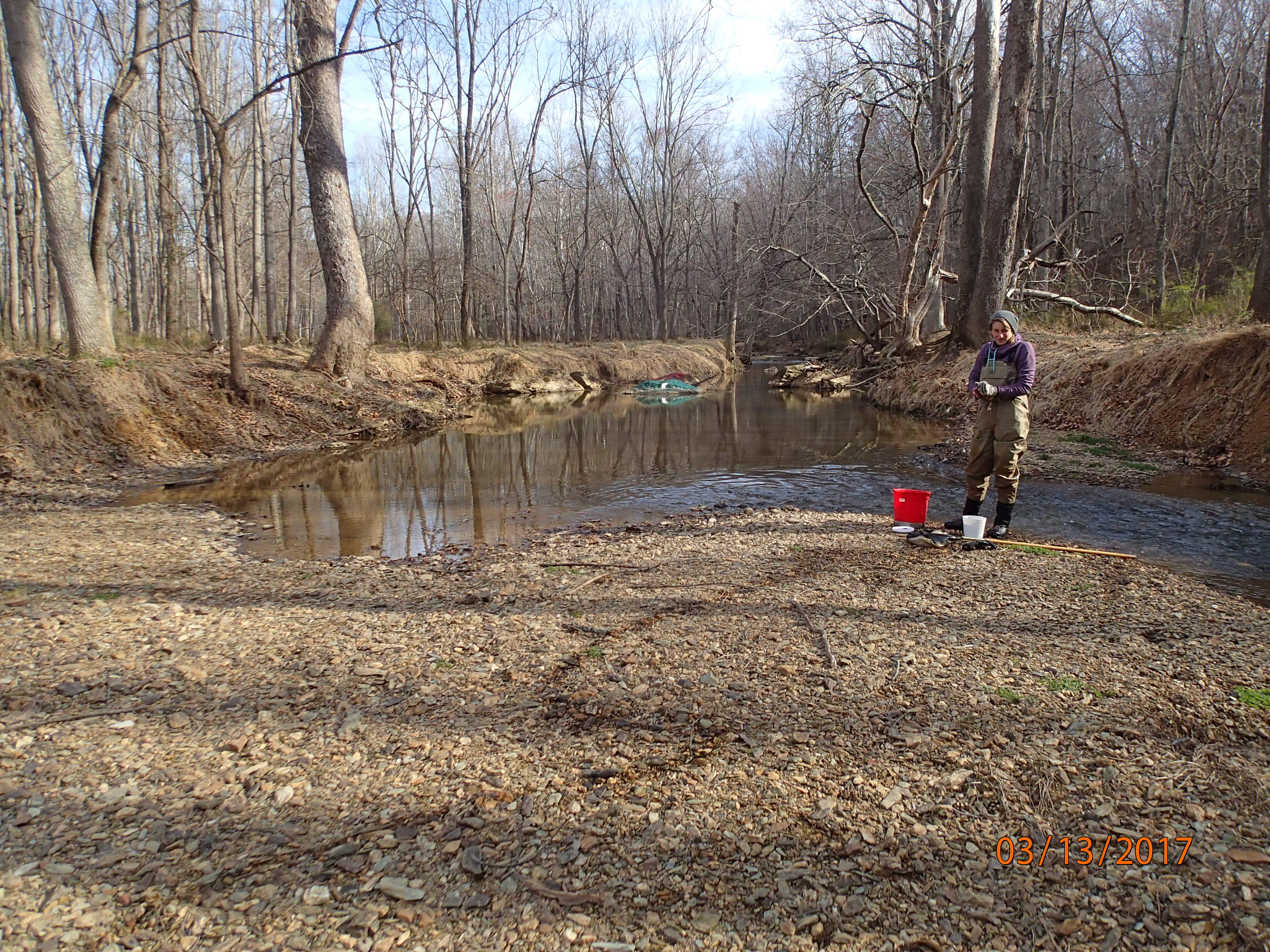 Field photo showing stream conditions at site SENE-318-R-2017-MidpointUpstream