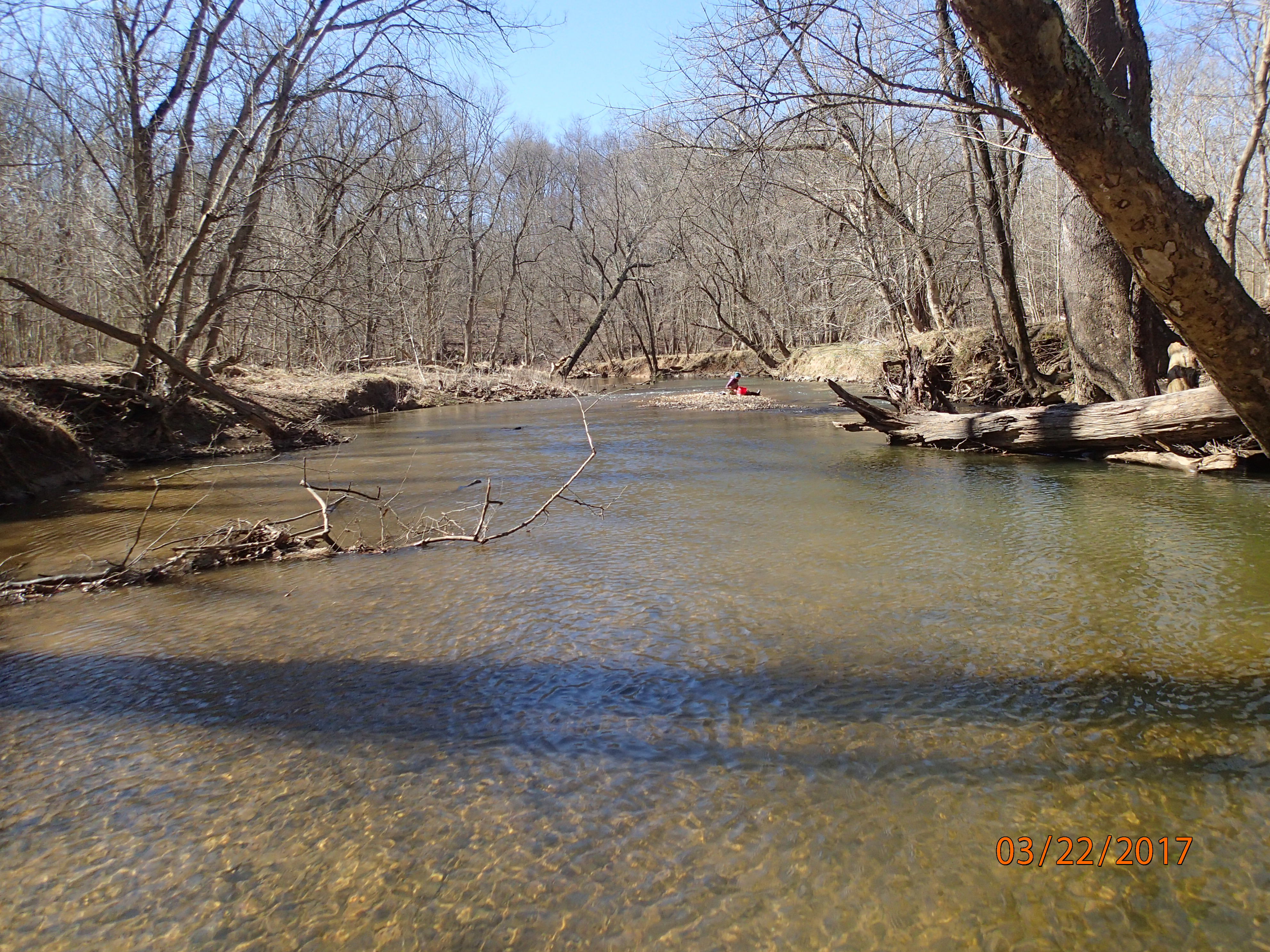 Field photo showing stream conditions at site SENE-401-X-2017-MidpointDownstream
