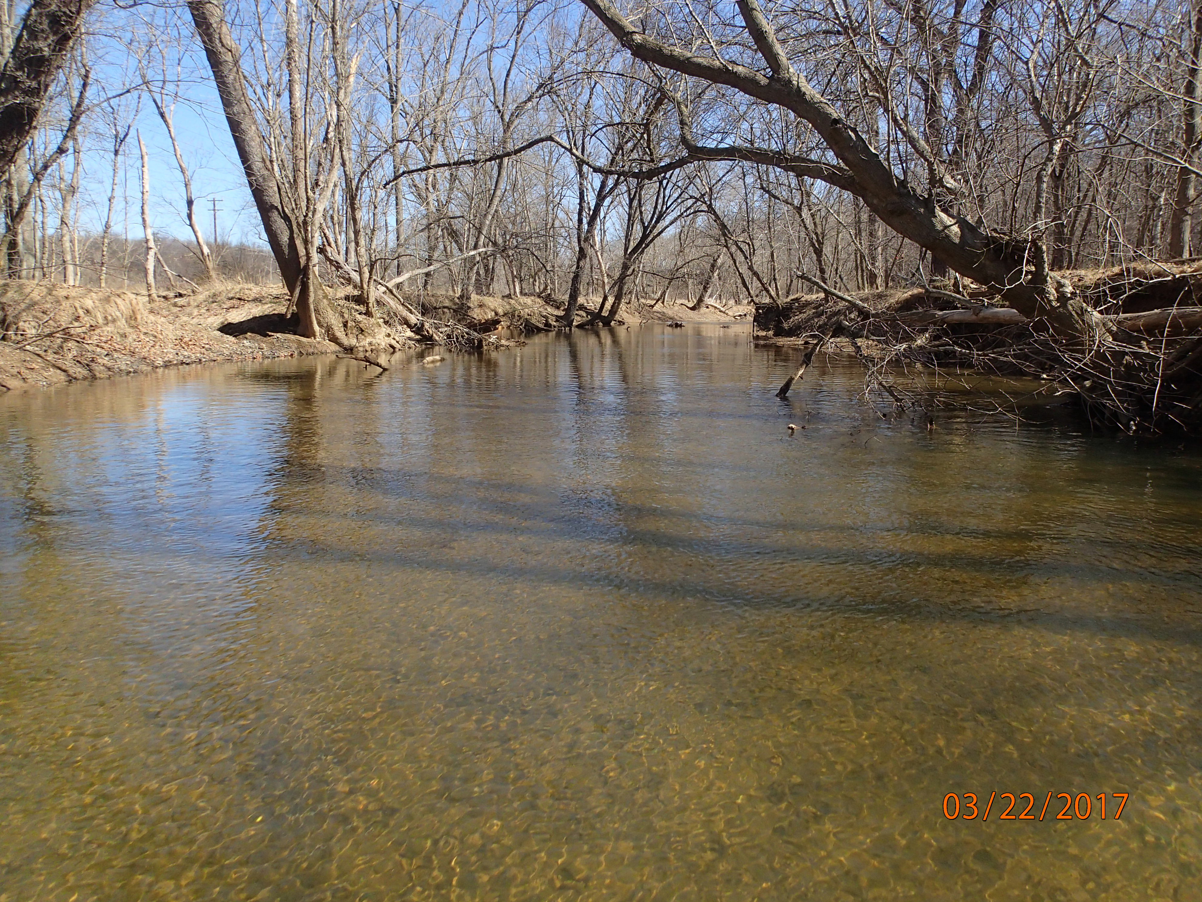 Field photo showing stream conditions at site SENE-401-X-2017-MidpointUpstream